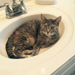 Meet your Posher, Addy